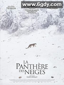 雪豹女王(2021)HD高清迅雷网盘磁力下载