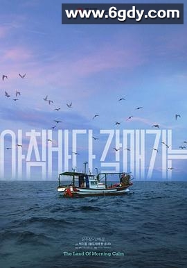 晨海的海鸥(2024)HD高清迅雷网盘磁力下载