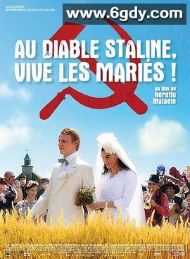 无声婚礼(2008)HD高清迅雷网盘磁力下载