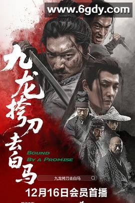 九龙挎刀去白马(2025)HD高清迅雷网盘磁力下载
