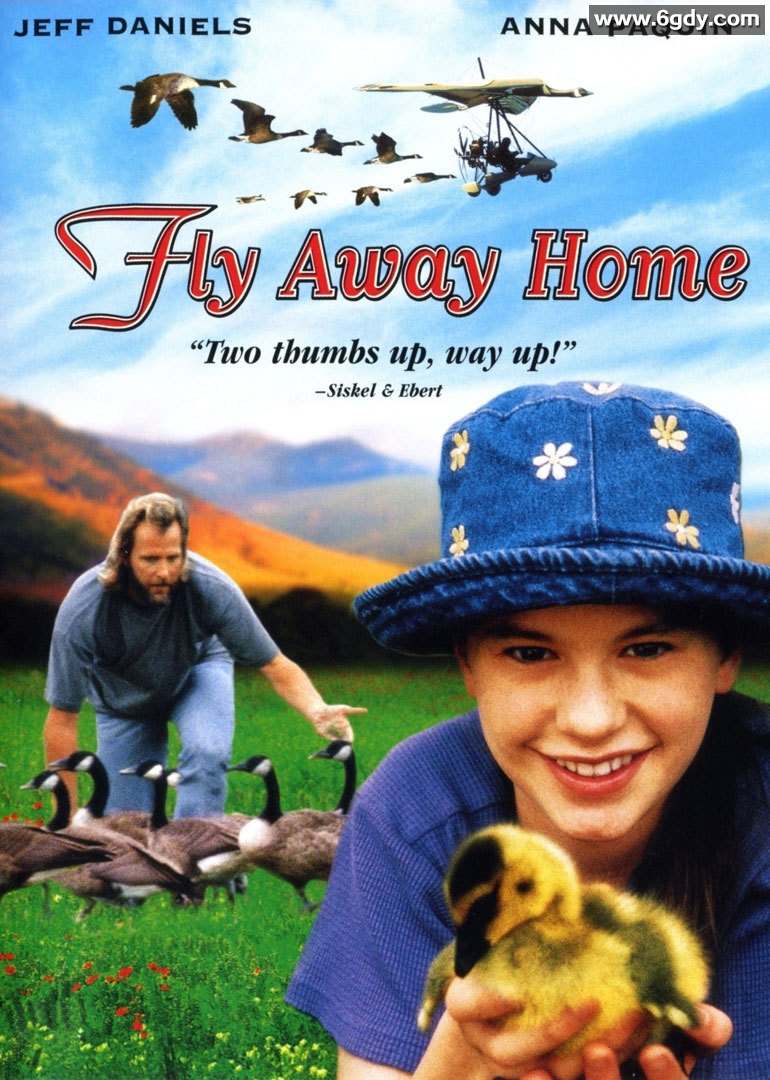 伴你高飞(1996)HD高清迅雷网盘磁力下载