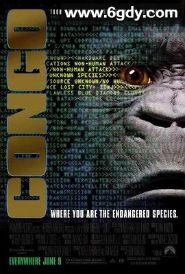 刚果惊魂(1995)HD高清迅雷网盘磁力下载