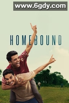 归途(2025)HD高清迅雷网盘磁力下载