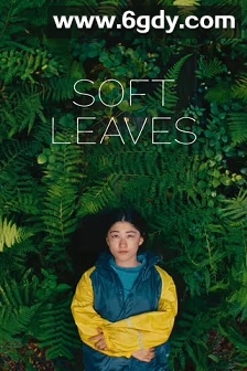 温柔的叶子(2025)HD高清迅雷网盘磁力下载