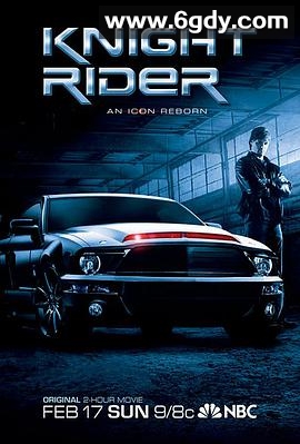 霹雳游侠2008电影版(2008)HD高清迅雷网盘磁力下载