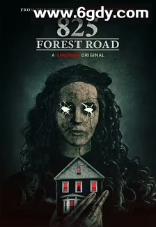 林荫路825号(2025)HD高清迅雷网盘磁力下载