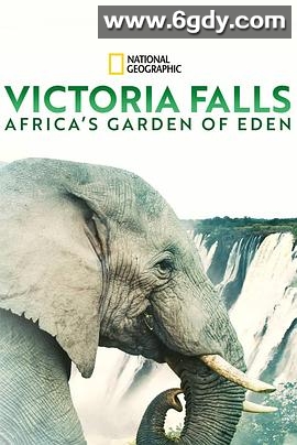 维多利亚瀑布：非洲的伊甸园(2021)HD高清迅雷网盘磁力下载