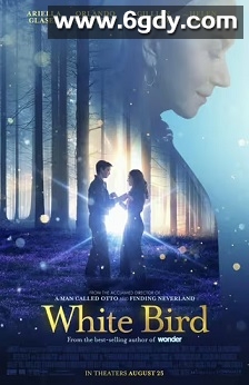 白鸟：奇迹(2023)HD高清迅雷网盘磁力下载