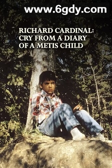 悲伤男孩日记(1986)HD高清迅雷网盘磁力下载