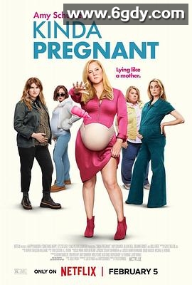 肚假情真(2025)HD高清迅雷网盘磁力下载