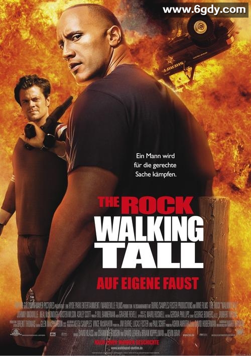 威震八方(2004)HD高清迅雷网盘磁力下载