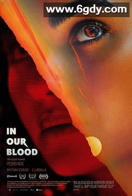 找寻家世(2024)HD高清迅雷网盘磁力下载