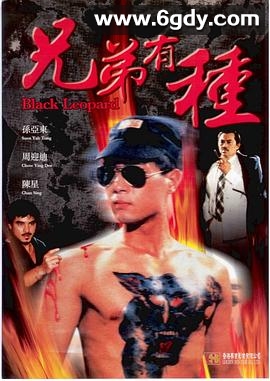 兄弟有种(1986)HD高清迅雷网盘磁力下载