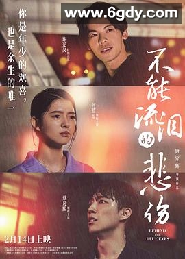 不能流泪的悲伤(2023)HD高清迅雷网盘磁力下载