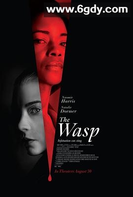 黄蜂蜇(2024)HD高清迅雷网盘磁力下载