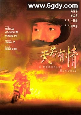 天若有情(1990)HD高清迅雷网盘磁力下载