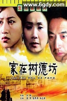 家在树德坊(2001)HD高清迅雷网盘磁力下载