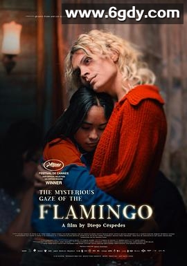 弗拉明戈的神秘眼神(2025)HD高清迅雷网盘磁力下载