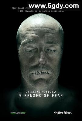 恐惧幻影(2013)HD高清迅雷网盘磁力下载