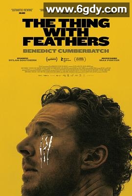 长翅膀的东西(2025)HD高清迅雷网盘磁力下载