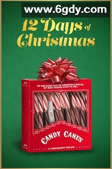 Twelve Days of Christmas(2020)HD高清迅雷网盘磁力下载