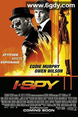 我是间谍(2002)HD高清迅雷网盘磁力下载