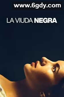 寡妇游戏(2025)HD高清迅雷网盘磁力下载