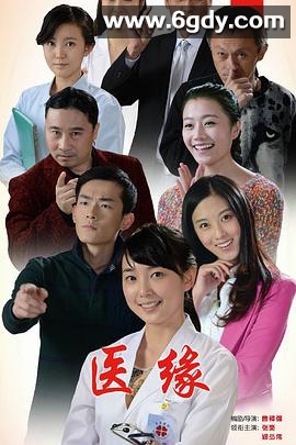 医缘(2014)HD高清迅雷网盘磁力下载