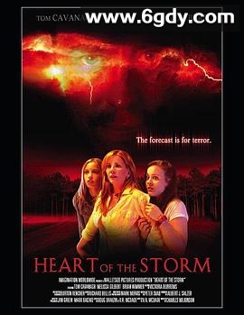 心情风暴(2004)HD高清迅雷网盘磁力下载