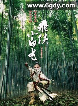 飞侠小白龙(2004)HD高清迅雷网盘磁力下载