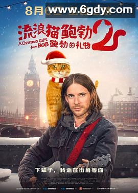 流浪猫鲍勃2：鲍勃的礼物(2020)HD高清迅雷网盘磁力下载