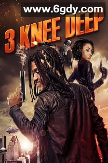 毒案罪网(2016)HD高清迅雷网盘磁力下载