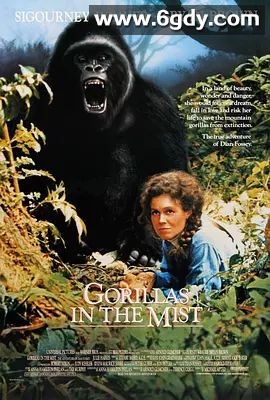 迷雾森林十八年(1988)HD高清迅雷网盘磁力下载