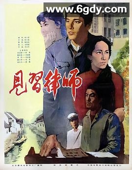见习律师(1982)HD高清迅雷网盘磁力下载
