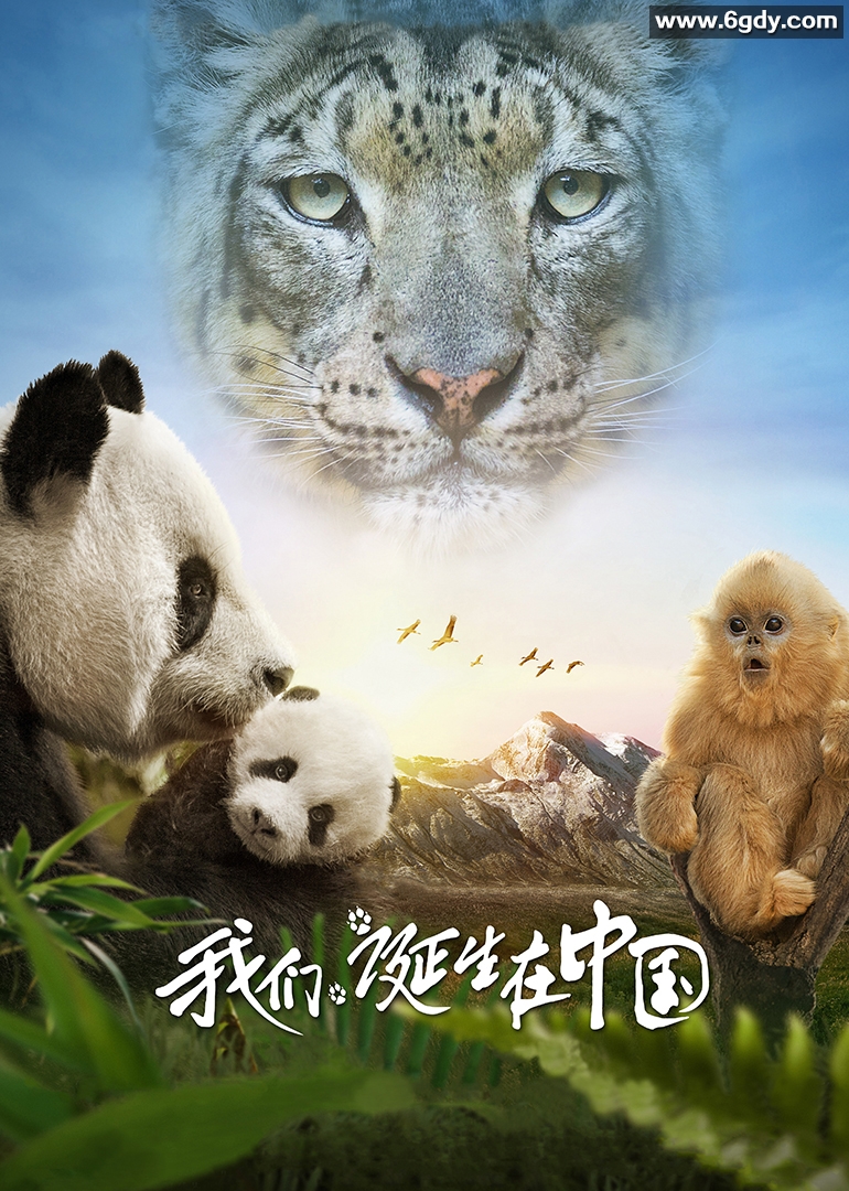 我们诞生在中国(2016)HD高清迅雷网盘磁力下载