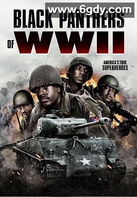 二战黑豹(2025)HD高清迅雷网盘磁力下载