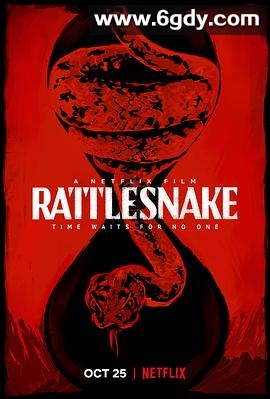 响尾蛇(2019)HD高清迅雷网盘磁力下载