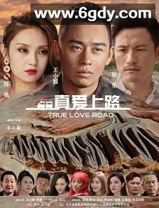 真爱上路(2026)HD高清迅雷网盘磁力下载