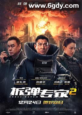 拆弹专家2(2020)HD高清迅雷网盘磁力下载
