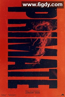 猩疯血雨(2025)TC高清迅雷网盘磁力下载