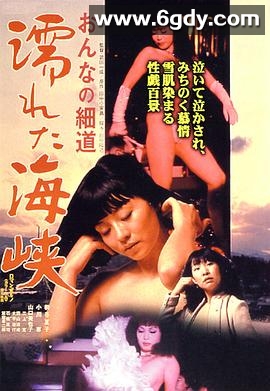 女人的小道：濡湿海峡(1980)超清高清迅雷网盘磁力下载