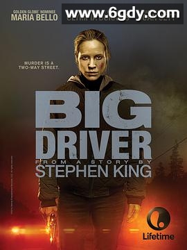 大司机(2014)HD高清迅雷网盘磁力下载