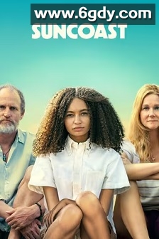 阳光海岸成长日记(2024)HD高清迅雷网盘磁力下载