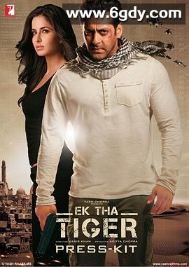 代号猛虎行动(2012)HD高清迅雷网盘磁力下载