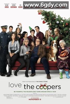 爱上库珀一家(2015)HD高清迅雷网盘磁力下载