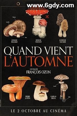 秋日何时来(2024)HD高清迅雷网盘磁力下载