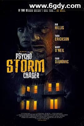 心理风暴追逐者(2021)超清高清迅雷网盘磁力下载