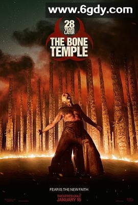 惊变28年2：白骨圣殿(2026)HDTS中字高清迅雷网盘磁力下载