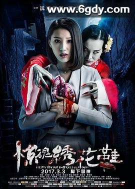 惊魂绣花鞋(2017)HD高清迅雷网盘磁力下载