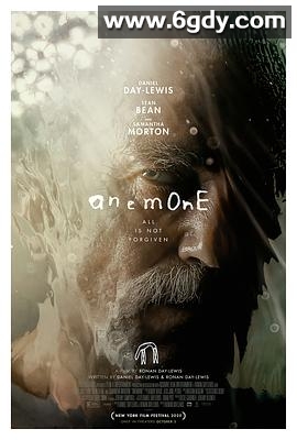 银莲花(2025)HD高清迅雷网盘磁力下载